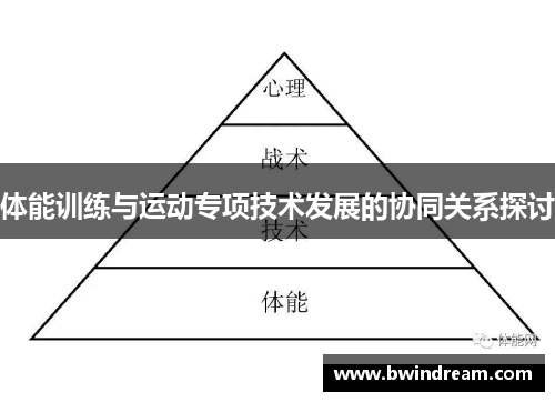 体能训练与运动专项技术发展的协同关系探讨
